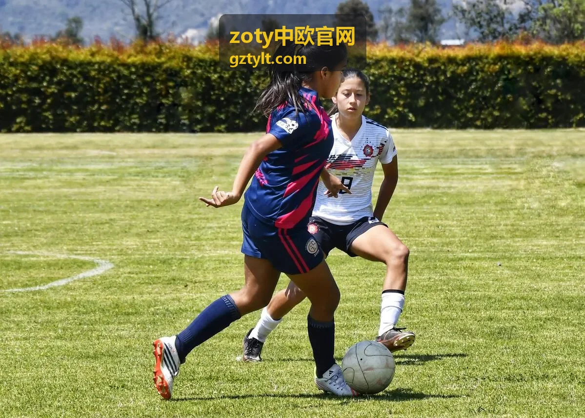 zoty中欧官网承接的带电产品类出口货物报关清关场景